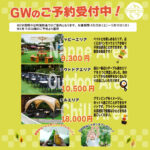 ゴールデンウィーク特別料金のご案内